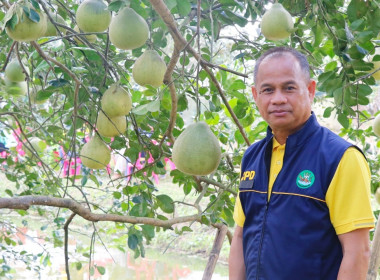 ลงพื้นที่ตรวจเยี่ยมและติดตามการดำเนินงานของศูนย์เรียนรู้การปลูกส้มโอทับทิมสยามบ้านแสงวิมานตำบลคลองน้อย อำเภอปากพนัง จังหวัดนครศรีธรรมราช โดยนายชวกิจจ์ สุวรรณคีรี รองผู้ว่าราชการจังหวัดนครศรีธรรมราช กล่าวต้อนรับพร้อมนายวิศิษฐ์ ศรีสุวรรณ์ อธิบดีกรมส่งเสริม ... พารามิเตอร์รูปภาพ 12